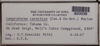 Image Associated With the Occurence